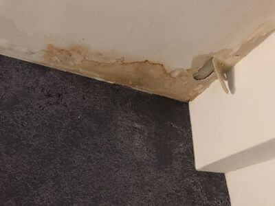 Professional water damage restoration services in Davie